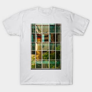 Reflecting Charlotte 2 T-Shirt